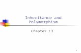 1 Inheritance and Polymorphism Chapter 13. 2 Getting Started Continue the Cat Management example from…