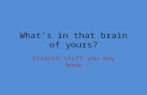 What’s in that brain of yours? Science stuff you may know.