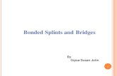 Bonded Bridges And Splints
