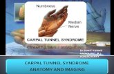 CARPAL TUNNEL SYNDROME ANATOMY AND RADIOLOGY IMAGING FINDINGS