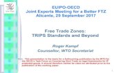 Free Trade Zones: TRIPS Standards and Beyond