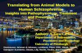 Translating from Animal Models to Human Schizophrenia - Insights into Pathophysiology, Treatment and Prevention