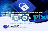 OWASP DevSlop - Pixi workshop!