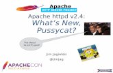 ApacheCon 2017: What's new in httpd 2.4