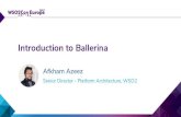 [WSO2Con EU 2017] Introduction to Ballerina