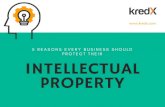5 Reasons Why Every Business Should Protect Their Intellectual Property