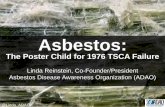 Asbestos: The Poster Child for 1976 TSCA Failure by Linda Reinstein
