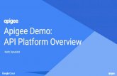 Apigee Demo: API Platform Overview