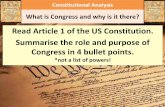 US Government Congress Lesson: 1. Structure and Role