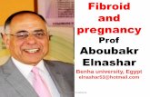 Fibroid and  pregnancy. Aboubakr Elnashar