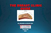The Breast Clinic Guide