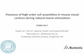 ICMNS Presentation: Presence of high order cell assemblies in mouse visual cortices during natural movie stimulation