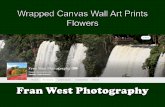Wrapped canvas wall art prints: flowers, from Fran West Photography