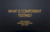 What is component testing | David Tzemach