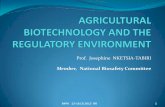 B4FA 2013 Ghana: Agricultural biotechnology and the regulatory environment - Josephine Nketsia-Tabiri
