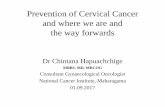 SS 2017: Prevention of cervical cancer
