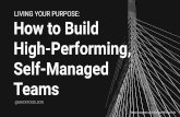 Building High Performing, Self-Managed Teams