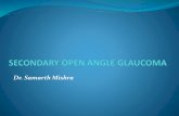 Secondary open angle glaucoma