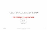 Functional areas of brain.2015.dk