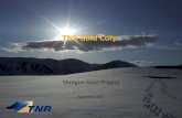 TNR Gold Shotgun Gold Project, Alaska. Presentation November 2017.