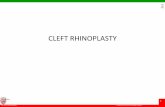 Cleft rhinoplasty
