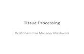 Tissue processing by dr manzoor