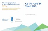 CIS TO NAPS IN THAILAND