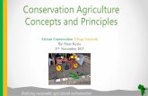 Conservation Agriculture concepts and principles
