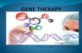 Gene therapy- An introduction & Concept