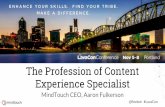 The Professionalization of the Director of Content Experience
