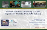 24 Actinide and brine chemistry in salt repositories: Updates from ABC Salt (V)