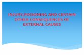 Injury,poisoning and certain other consequences of external causes