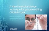 A New molecular biology techniques for gene therapy