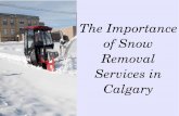 The Importance of Snow Removal Calgary
