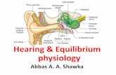 Hearing & Equilibrium Physiology