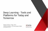 Werner Scholz - Deep Learning: Tools and Platforms for Today and Tomorrow