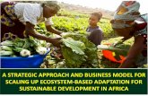 A Strategic Approach and Business Model for Scaling Up Ecosystems-Based Adaption For Sustainable Development in Africa
