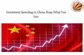 Investment in china and chinese economy