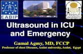 Ultrasound in ICU and Emergency