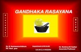 Gandhaka rasayana