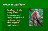 What is ecology 2012