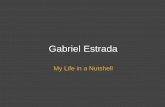 Gabriel Estrada - My Life In A Nutshell