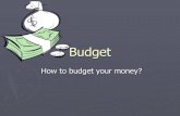 Budget ppt by tushar kandpal