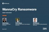 WannaCry Ransomware Attack: What to Do Now
