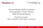 MagNet 2017 - Social Media B2B Analytics session SO4