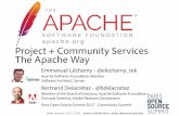 Project and Community Services the Apache Way