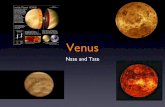 Grade Six Venus Project