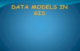 Data models in geographical information system(GIS)