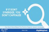 If You Don't Synergize, You Don't Capitalize: Our Must Have Report for Paid & Organic Search Synergies By Brad Giddens