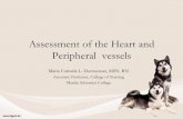 Assessments heart  & neck vessel